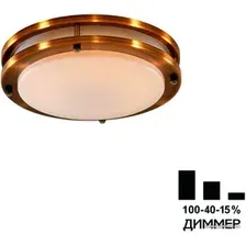 Светильник-тарелка Citilux Бостон CL709203N