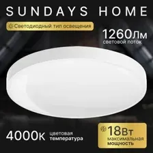 Припотолочная люстра Sundays Home 240924-10 5733 (белый)