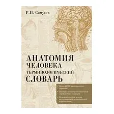 Анатомия человека. Терминологический словарь