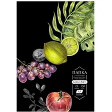 Набор бумаги для рисования Малевичъ GrafArt Black 402315 (25 л)