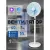 Вентилятор Evolution AirLeaf AL-803R Smart
