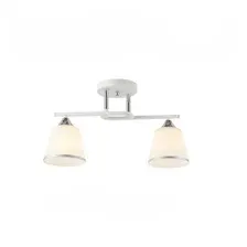 Потолочный светильник Mirastyle WX-6346/2 WHCR