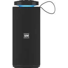 Беспроводная колонка Soundmax SM-PS5015B (черный)