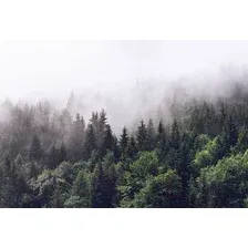 Фотообои листовые Vimala Лес в тумане (270x400)