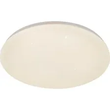 Потолочный светильник ESCADA 10216/SG LED APP (белый)