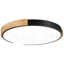 Потолочный светильник Evoluce Delia SLE201342-01