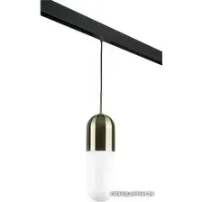 Подвесная люстра Lightstar Ramo PRO690111