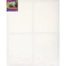 Холст для рисования BRAUBERG Art Debut 191648