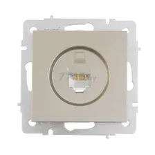 Розетка компьютерная RJ-45 скрытая LEZARD Vesna титан (742-3788-139)