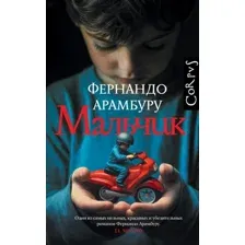 Художественная книга АСТ Мальчик, твердая обложка (Арамбуру Фернандо)