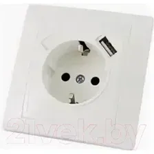 Розетка TDM Таймыр SQ1814-0040 (белый)