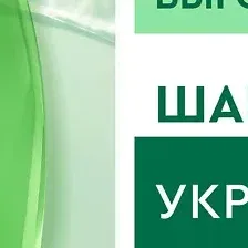 ЧИСТАЯ ЛИНИЯ Шампунь для волос на отваре целебных трав для всех типов волос Крапива 750 мл