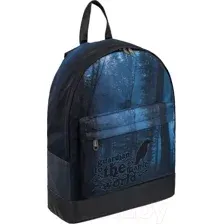 Рюкзак Erich Krause StreetLine 17L Dark Forest / 51830