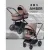 Универсальная коляска MOWbaby Amber MB067 (2 в 1, кофе)