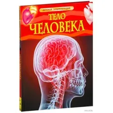 Тело человека