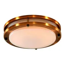 Потолочный светильник Citilux Бостон CL709203N
