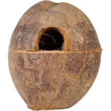 Декорация Lucky Reptile Coco Box DCB-1