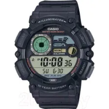 Часы наручные мужские Casio WS-1500H-1A