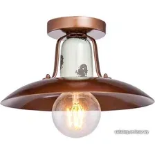 Припотолочная люстра Lussole Loft Vermilion LSP-8162
