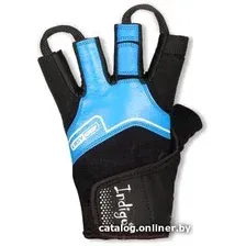 Перчатки для фитнеса Indigo SB-16-8128 (XXL, черный/синий)