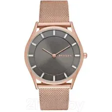 Часы наручные женские Skagen SKW2378