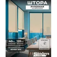 Рулонная штора Sundays Home Санскрин 310-02 40х120 (бежевый, на присосках)
