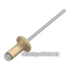 Заклепка вытяжная Starfix SMP2-101895-250