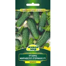 Семена огурец Мирабелл (Герман) F1 (Seminis)