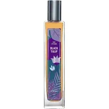 Туалетная вода Brocard Black Tulip EdT (55 мл)