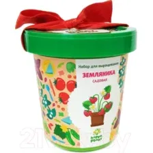 Набор для выращивания растений Happy Plant Земляника садовая / hpn-26