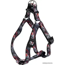 Шлея Ferplast Arlecchino P Small 75608999 (многоцветный)