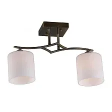 Потолочный светильник Omnilux Pisticci OML-55317-02